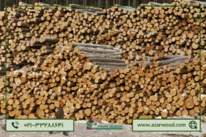 قیمت چوب روسی