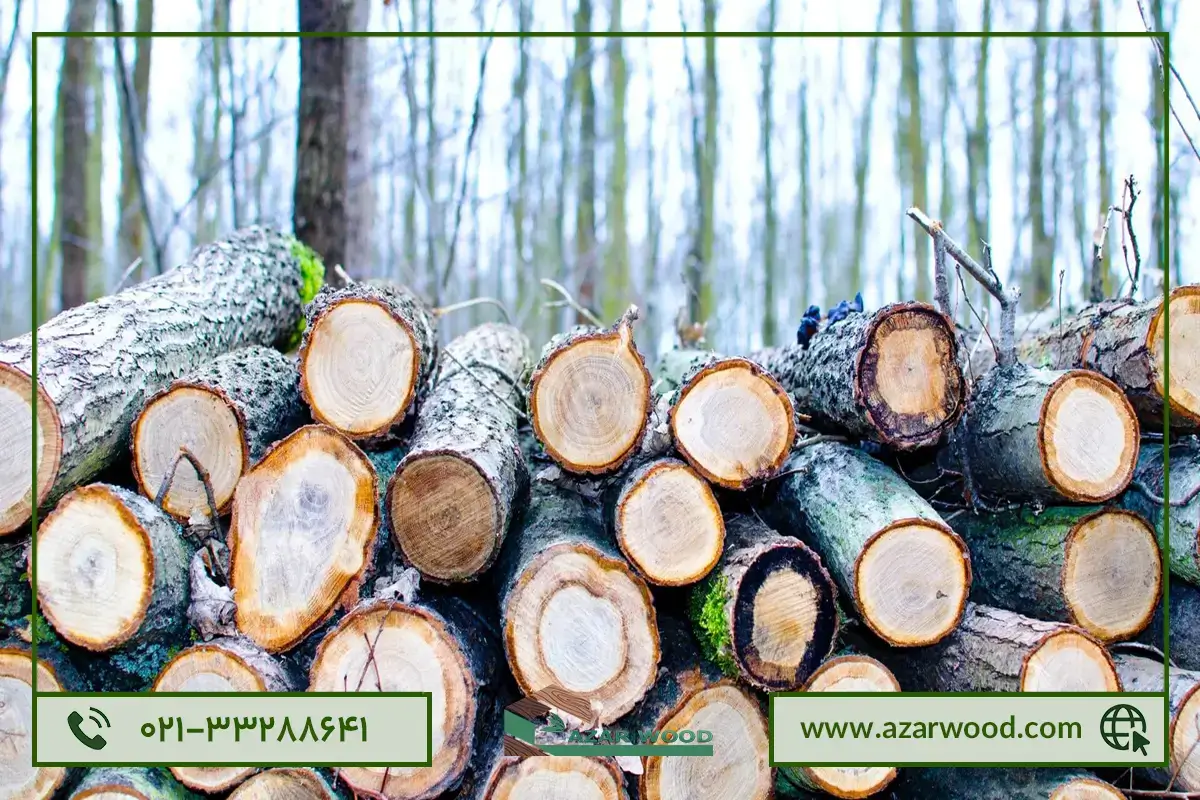 قیمت انواع چوب طبیعی