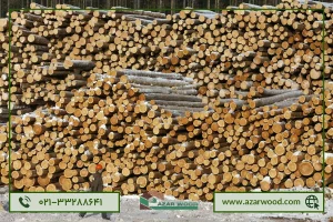 نکات مهم درباره قیمت چوب روسی